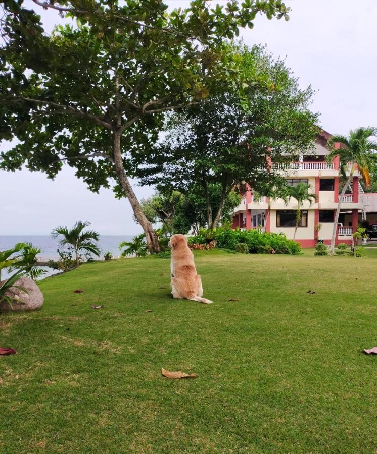 Wuthering Heights Bed & Breakfast By The Sea Dumaguete City Zewnętrze zdjęcie