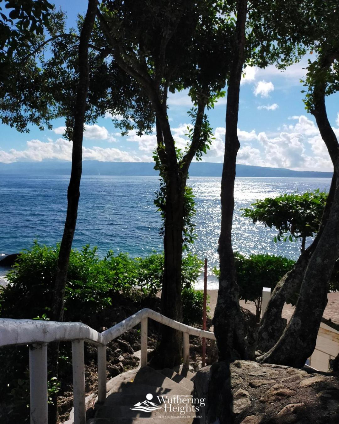 Wuthering Heights Bed & Breakfast By The Sea Dumaguete City Zewnętrze zdjęcie