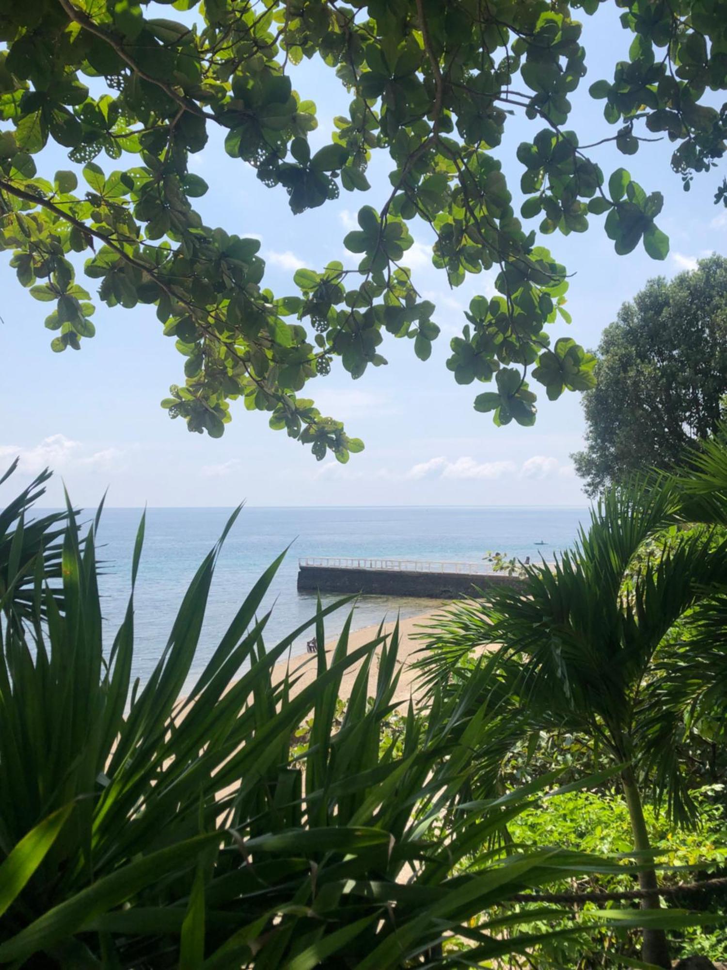 Wuthering Heights Bed & Breakfast By The Sea Dumaguete City Zewnętrze zdjęcie