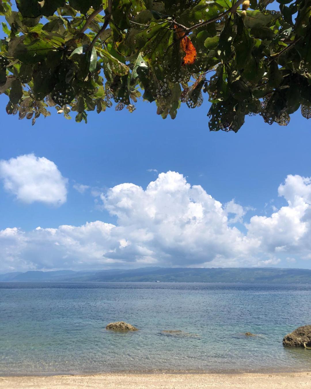 Wuthering Heights Bed & Breakfast By The Sea Dumaguete City Zewnętrze zdjęcie